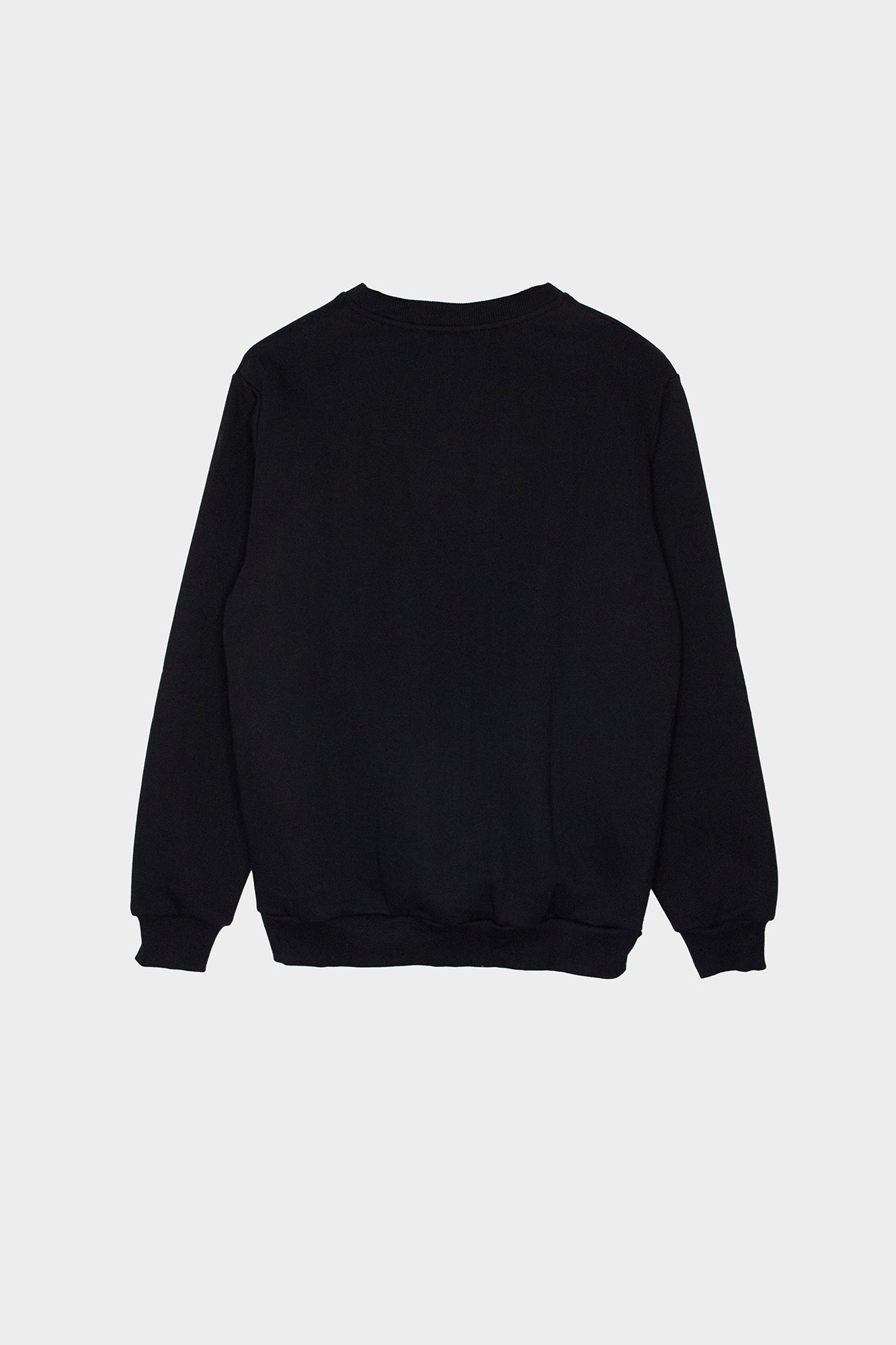 One Wolf Logo Sweater black regular, not brushed
