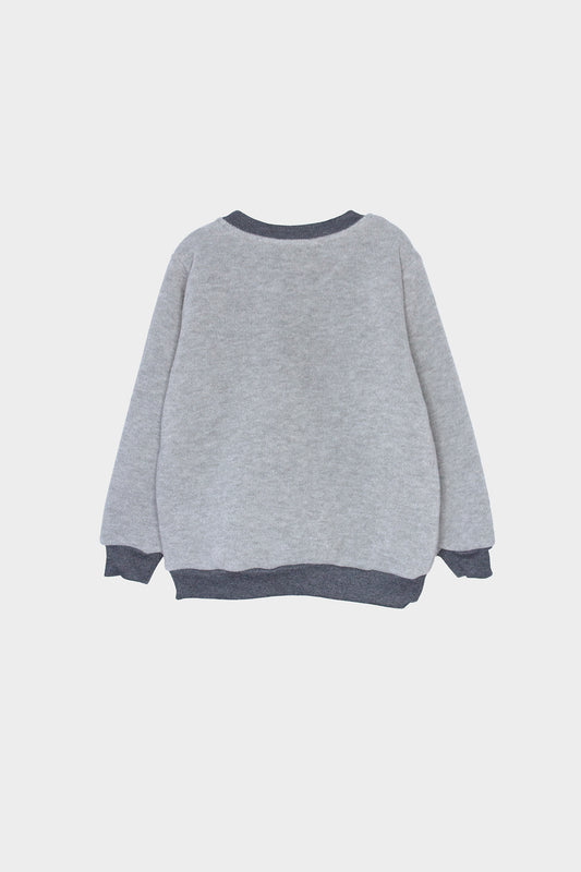 Adīts bērnu One Wolf džemperis, pelēks/tumši pelēks logo